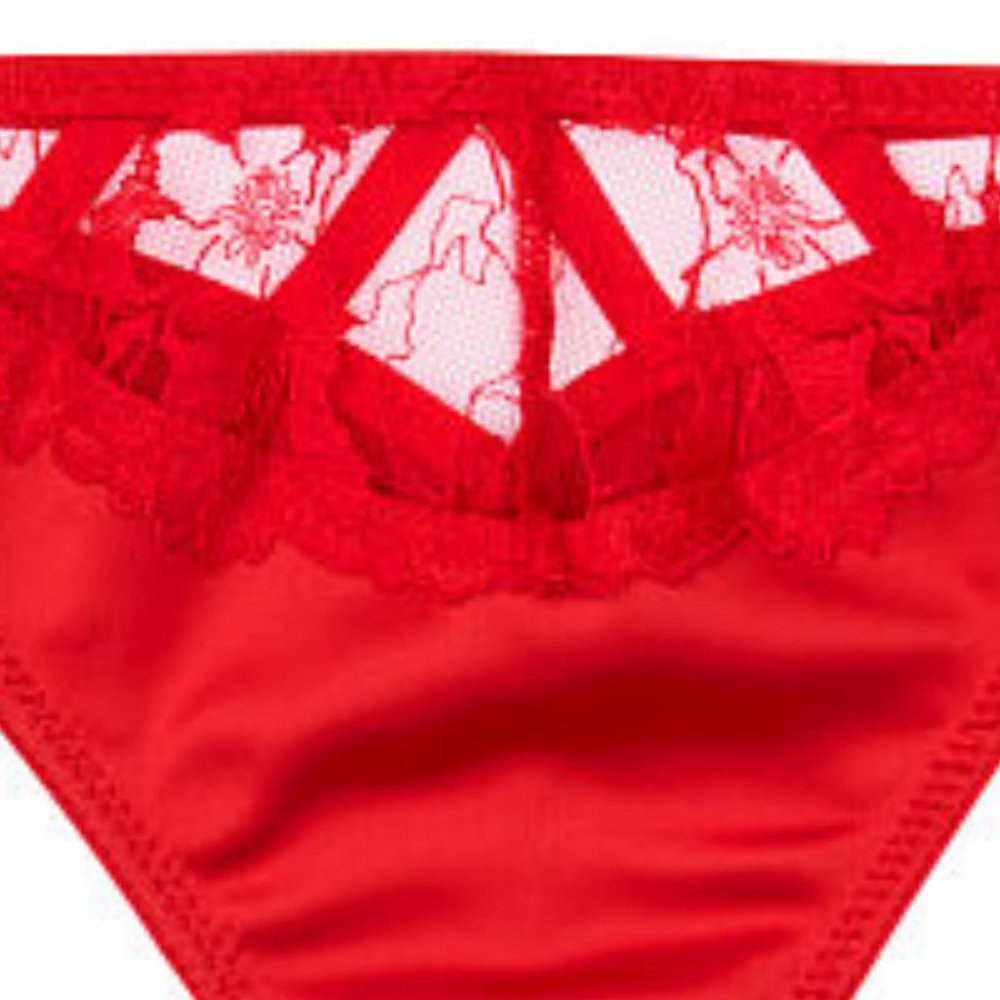 VS Thong LUXE LINGERIE Embroidered Red XL NWT - Picture 11 of 15